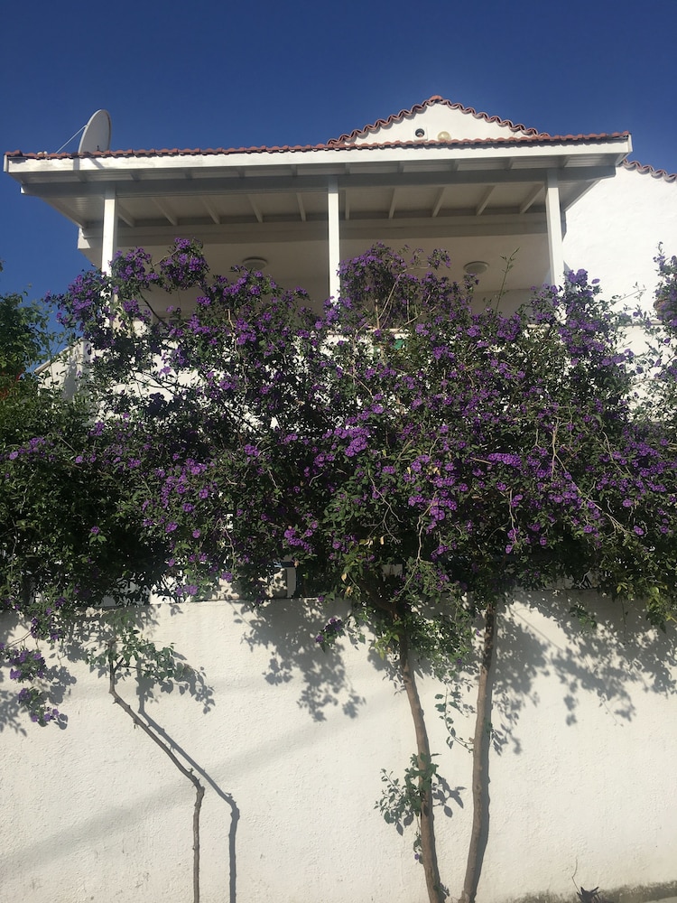 Defne Ev Otel - Image 32