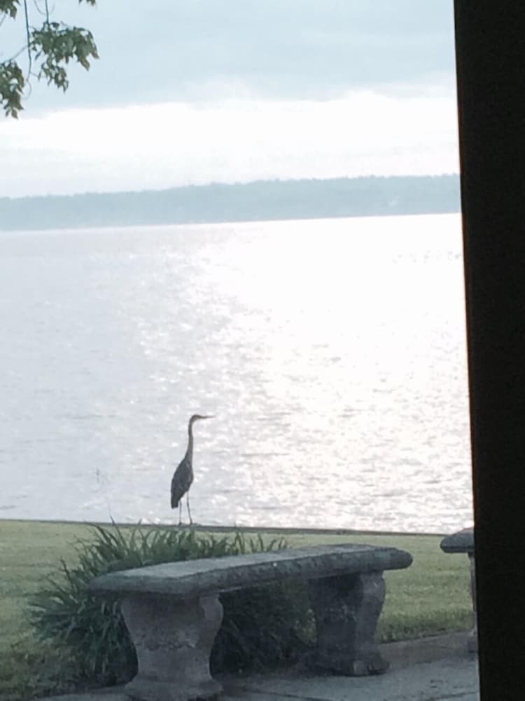 Waters Edge B&B Resort