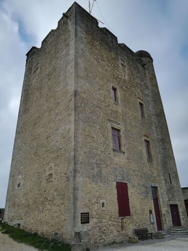 Photo 29