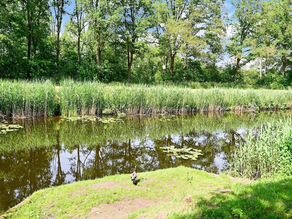 Photo 26