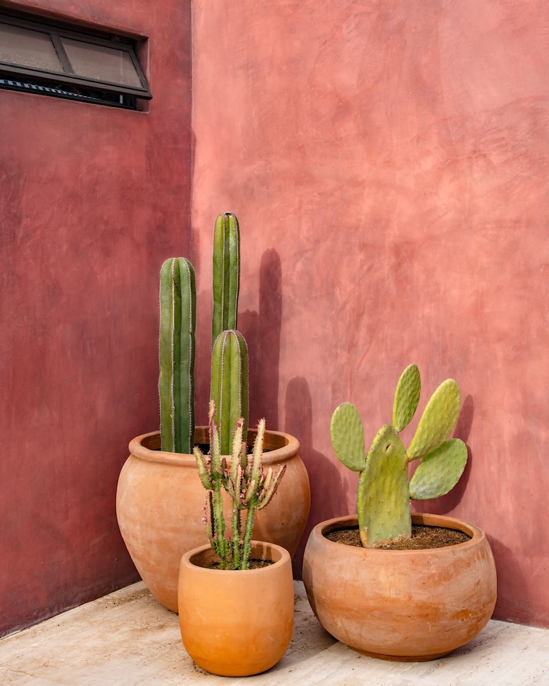 Casa Todos by Boutique