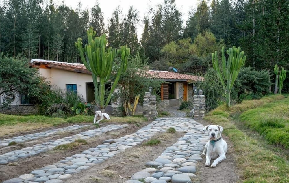 Photo 35