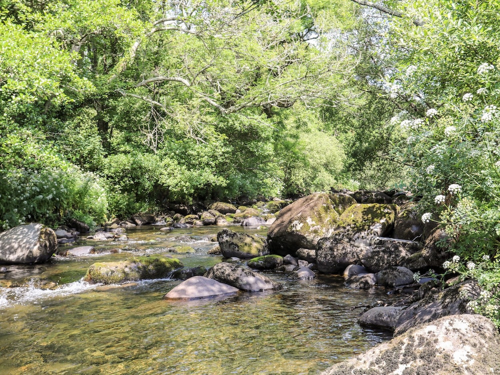 Gyda'r Llif