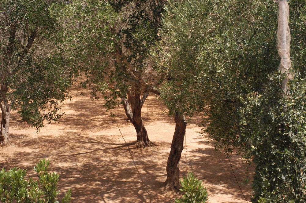 A Casa di Amici