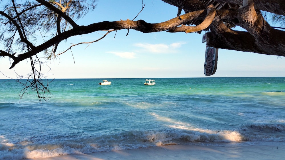 Jamboland-Diani