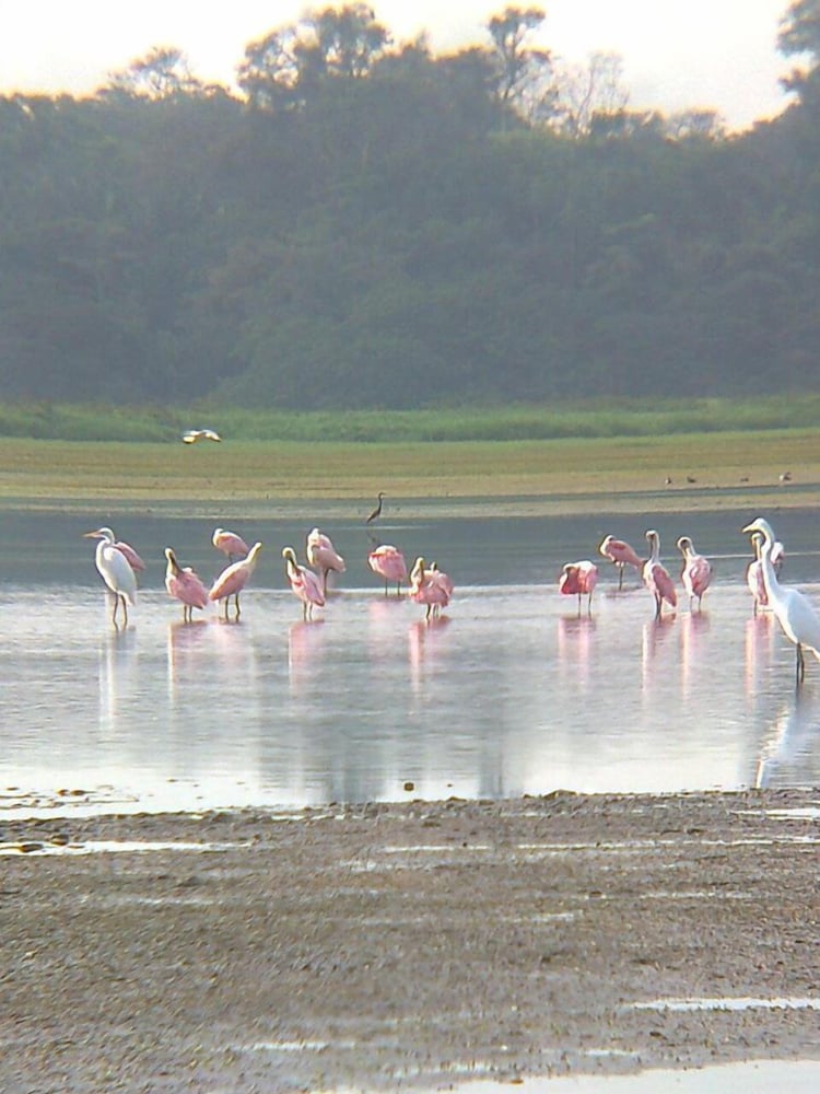 Caño Negro Wetlands Lodge