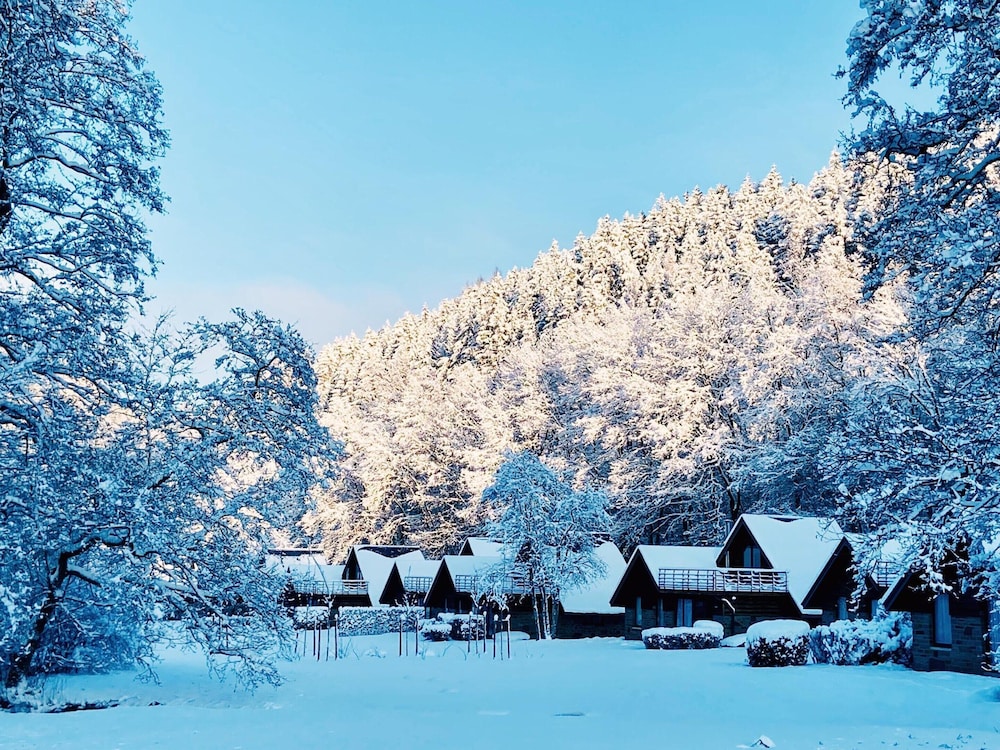 Cottage Excellence - Family Resort With Wellness in the Heart of the Ardennes view 5