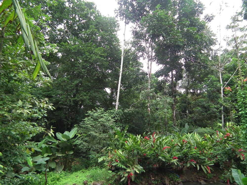 Hotel Valle Azul