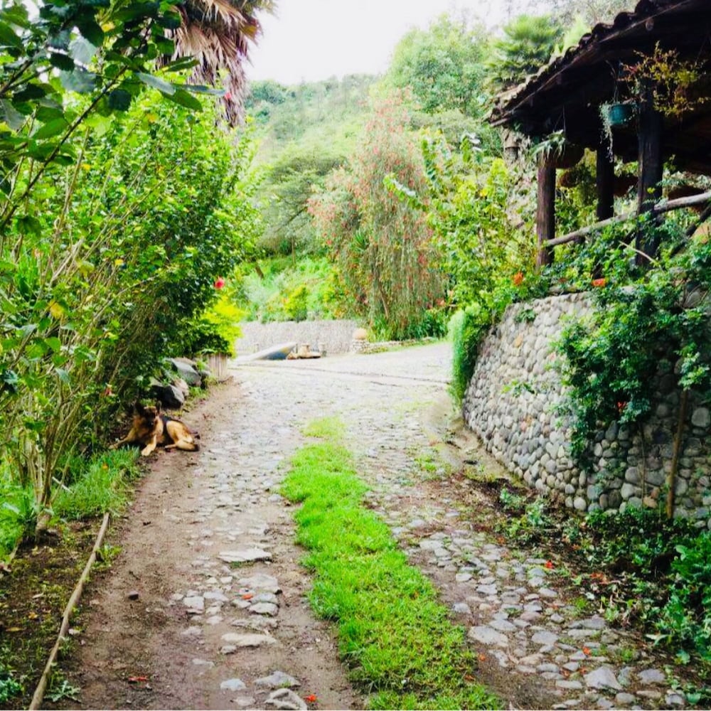 Villa Juliana