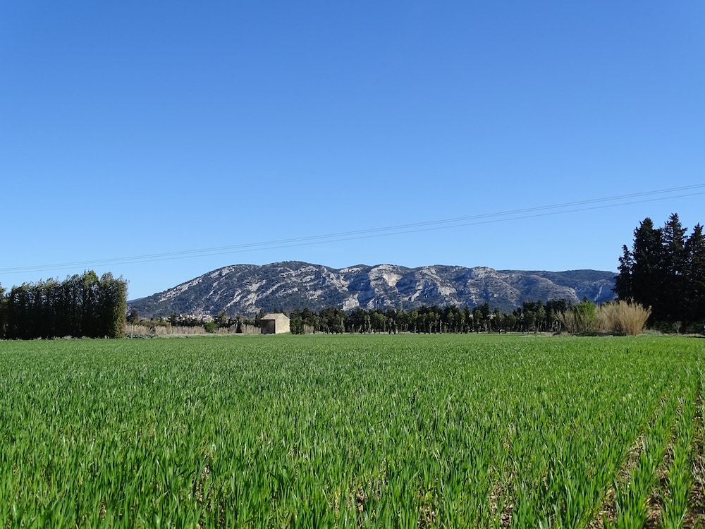 La Louvière des Bruyères