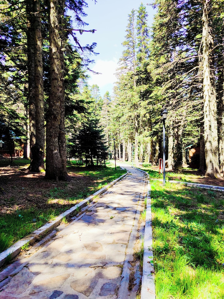Karinna Forest Houses
