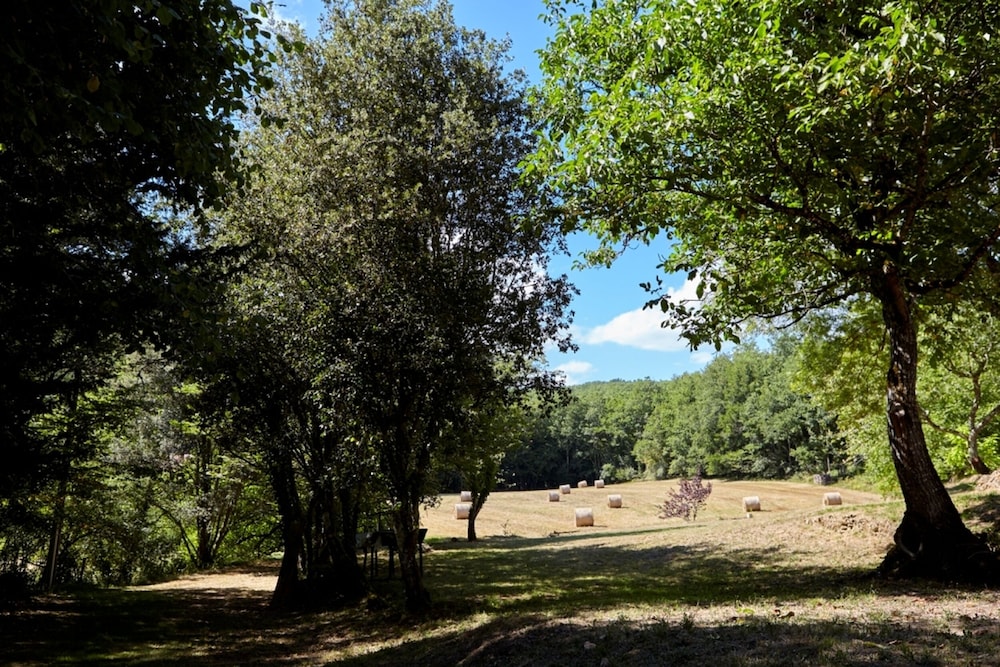 Le Gîte étoilé view 4