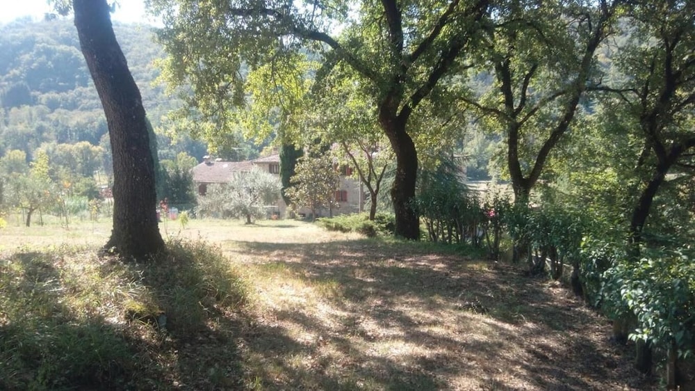 Photo 27