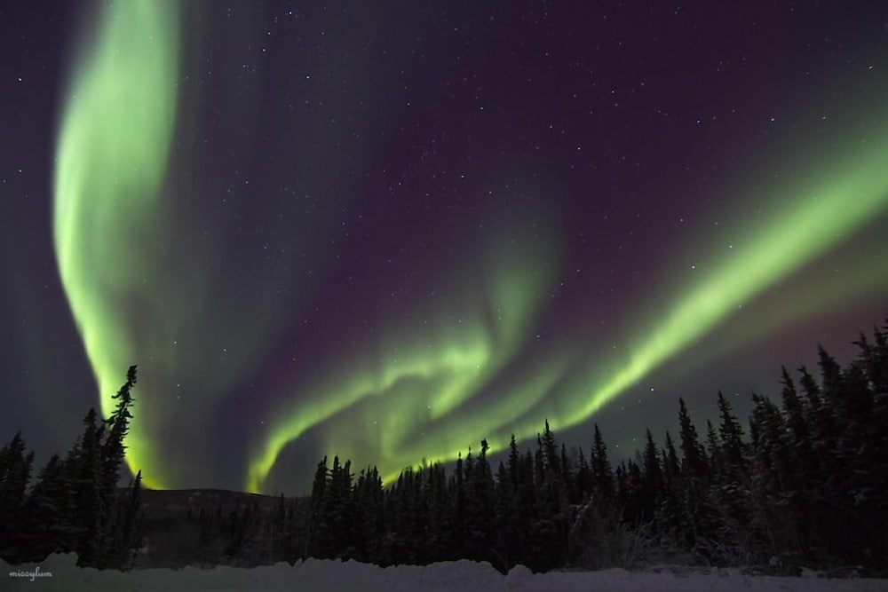 Alaska Haven - Property Image 40