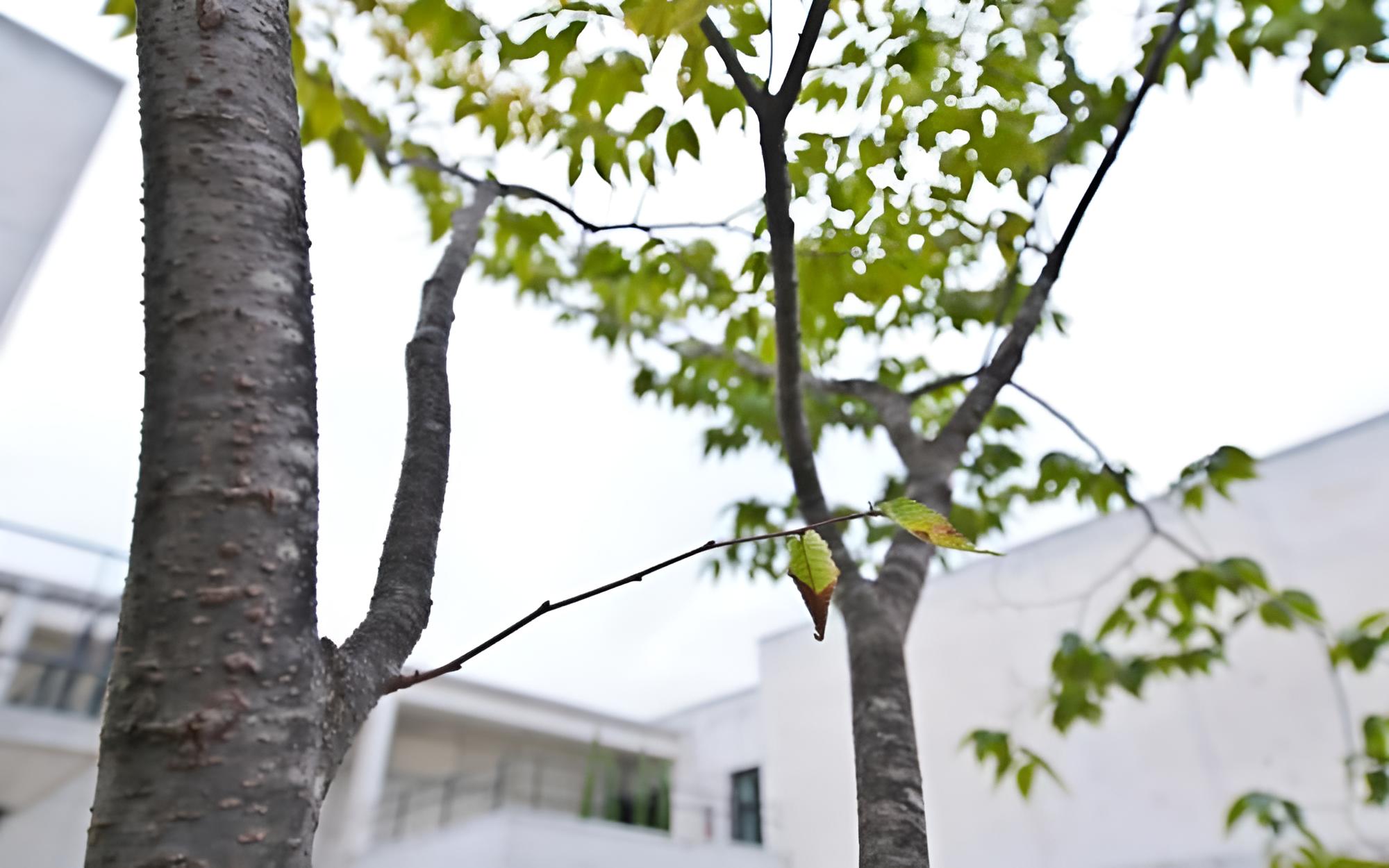 Photo 161