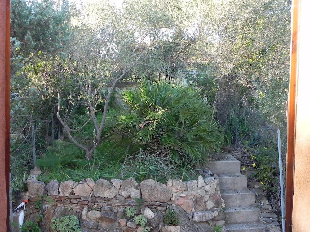 Photo 30
