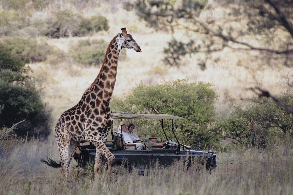 Makweti Safari Lodge
