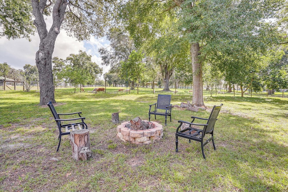 Pet the Sheep! Rural & Spacious Polk City Retreat