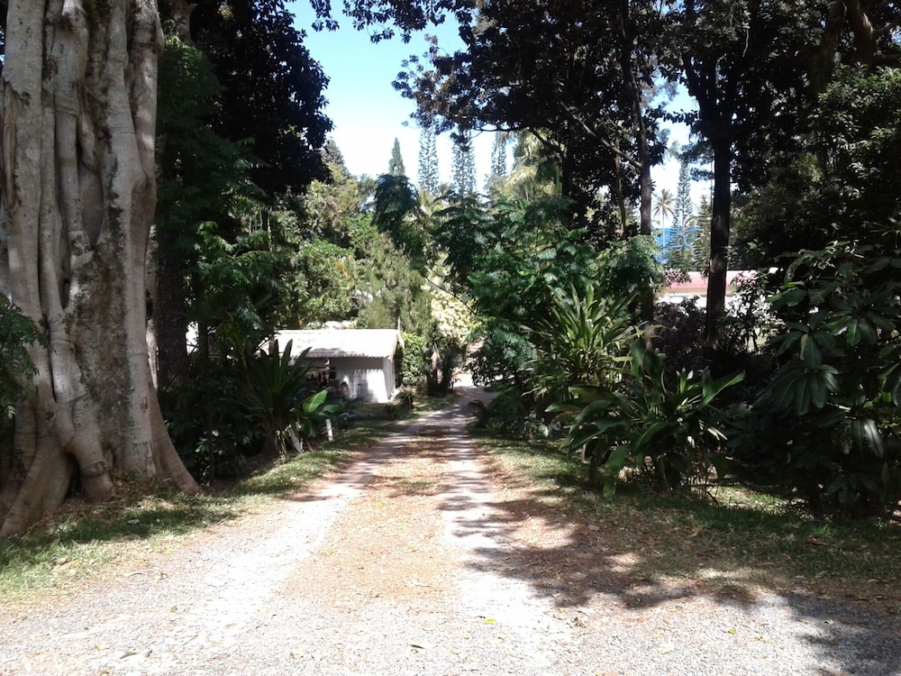 Photo 47