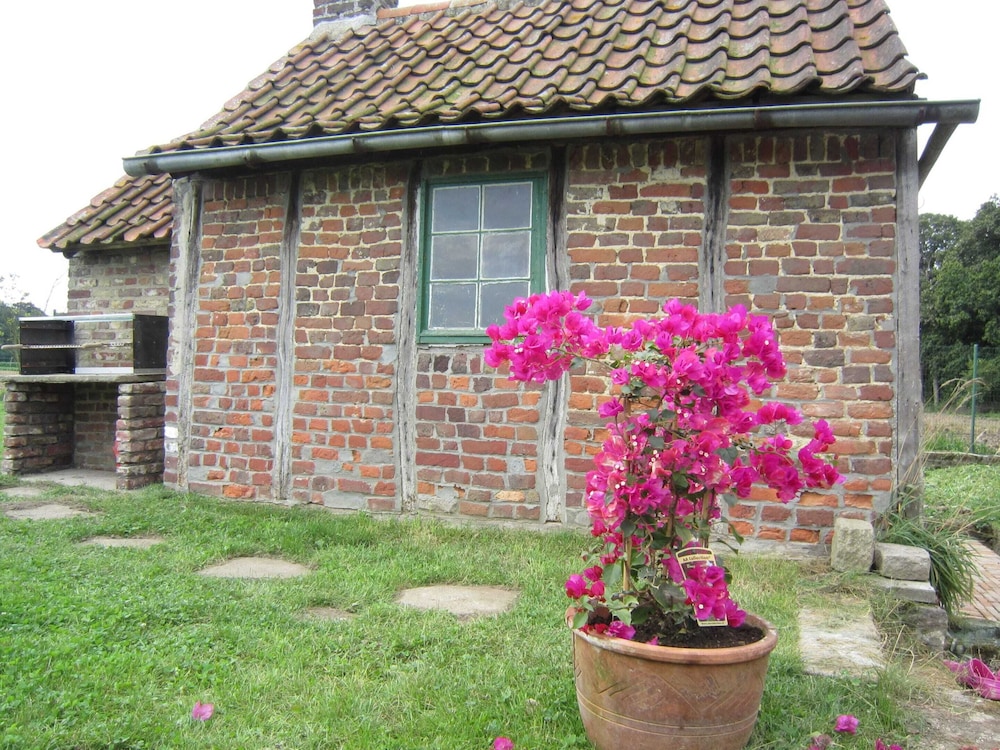 Photo 26