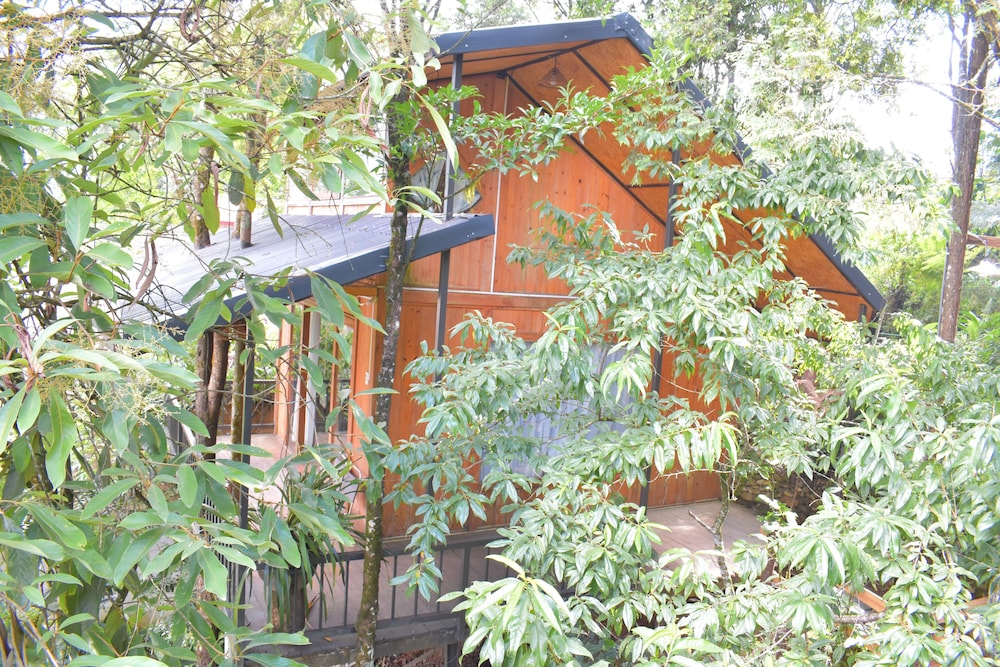 Photo 45