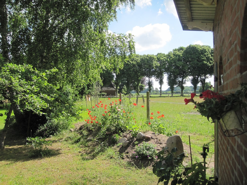Photo 49