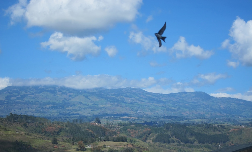 Hotel Reventazon - Image 1