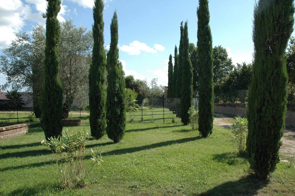 Photo 29