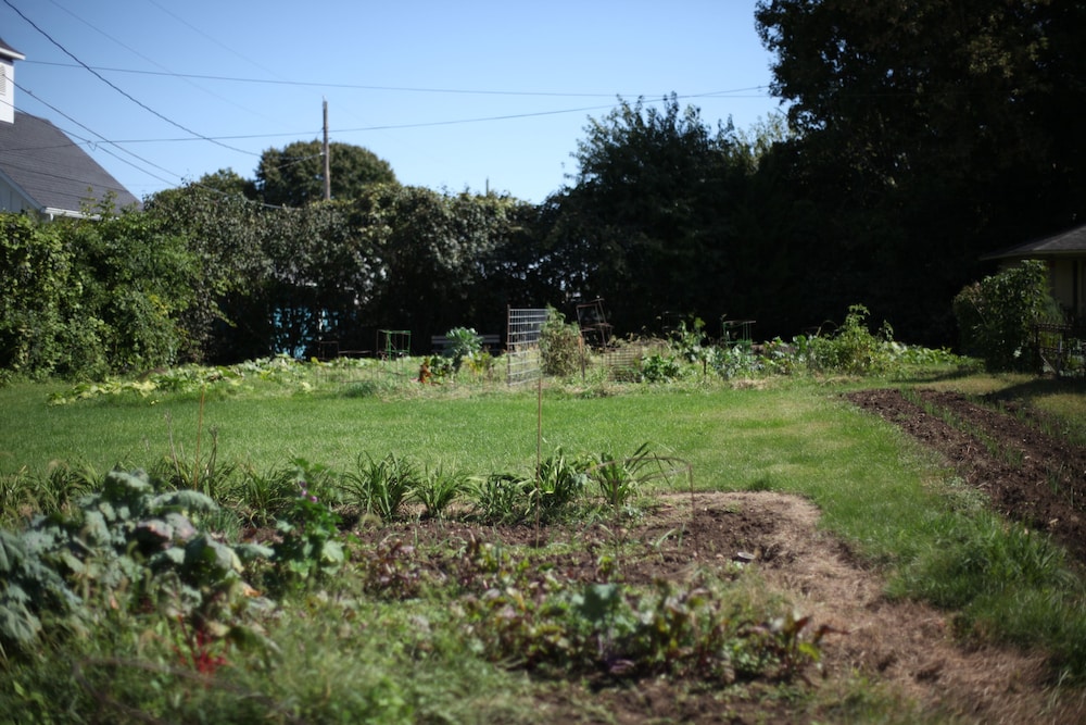 Squiers Manor B&B view 3
