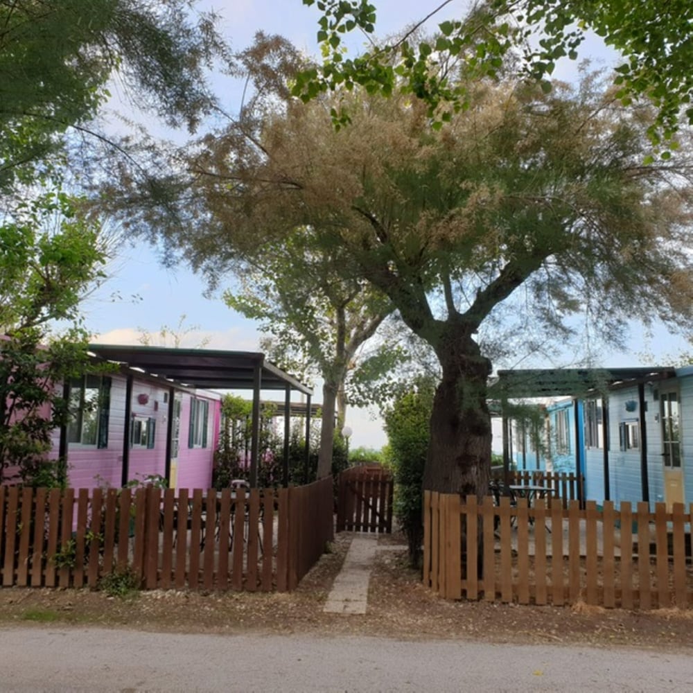 Pet Family Camping Cortina