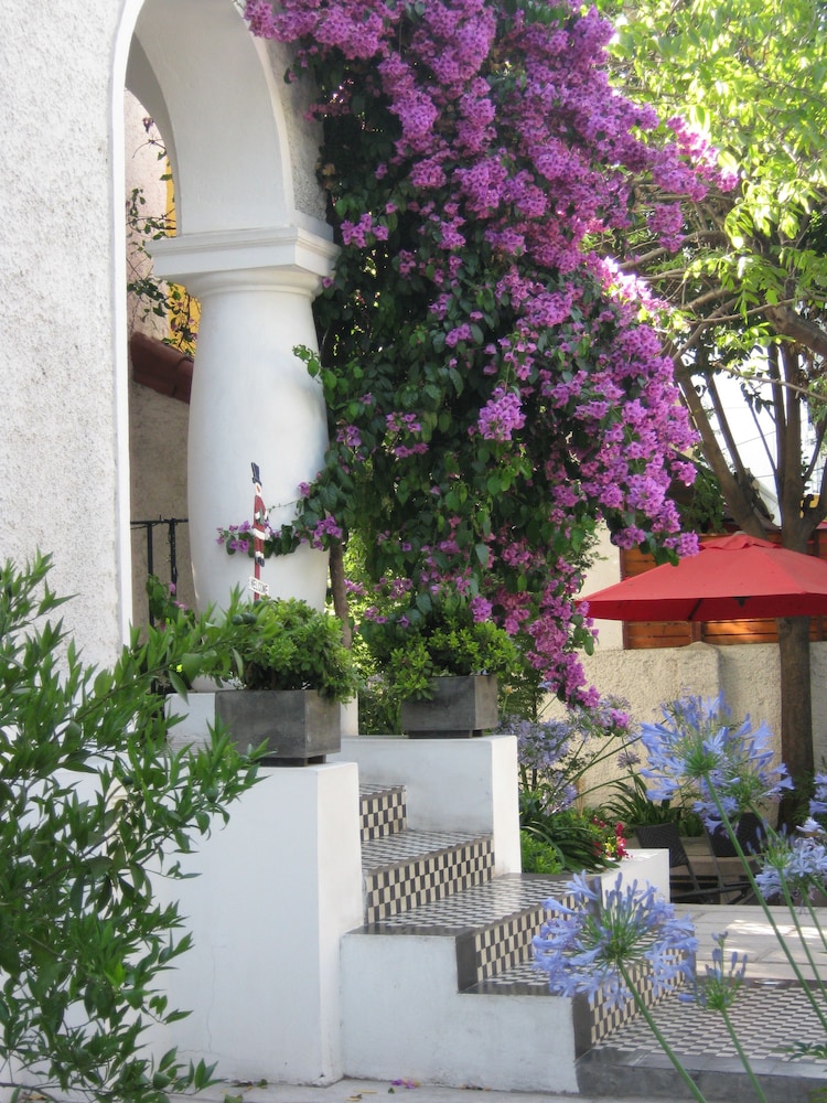 Photo 41