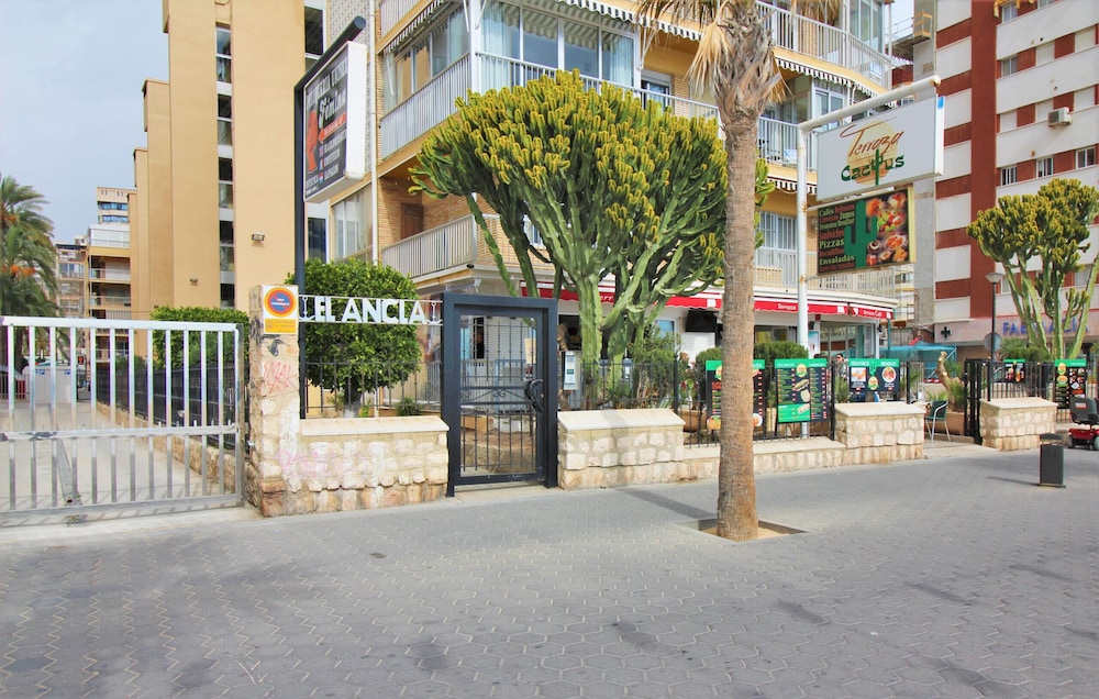 Photo 7