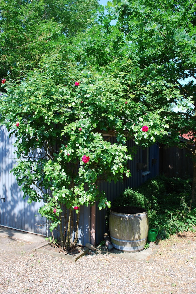 Photo 43