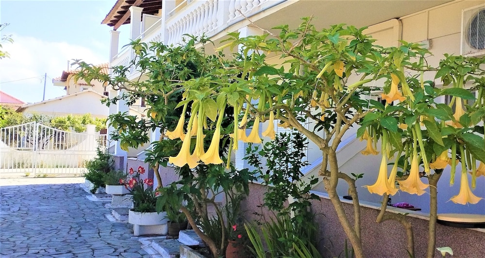 Photo 40
