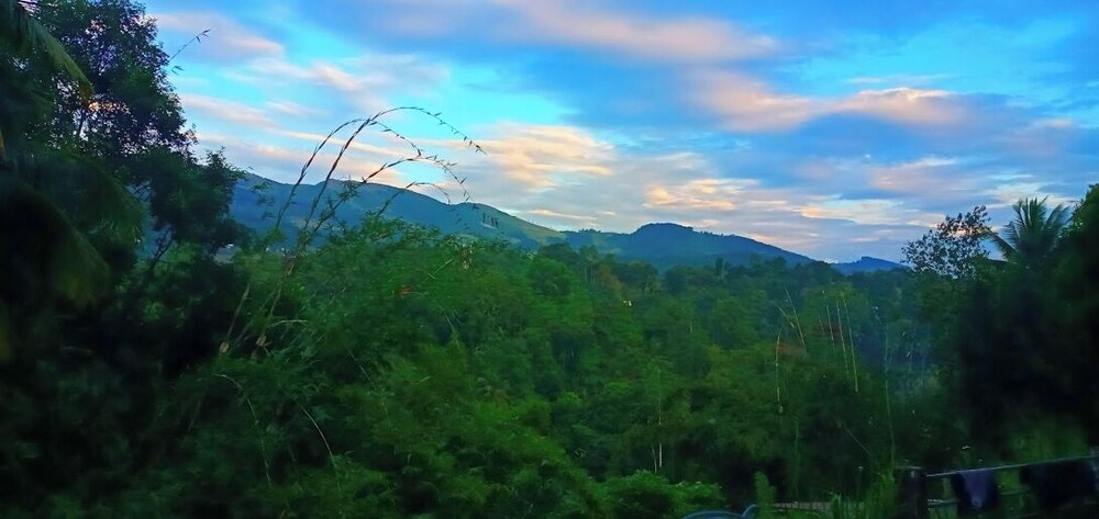 Galkotuwa Estate
