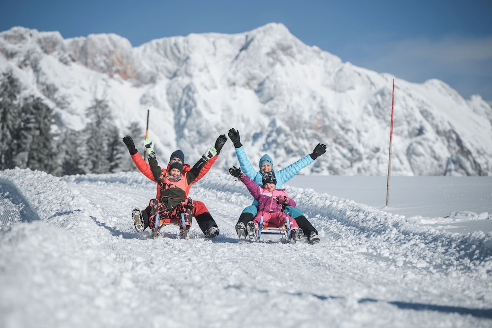 Almhof Alpin Apartments & Spa