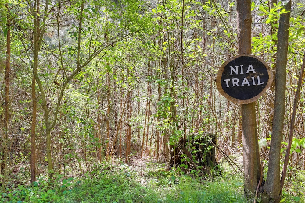 Georgia Farmhouse Studio w/ Hiking Trail