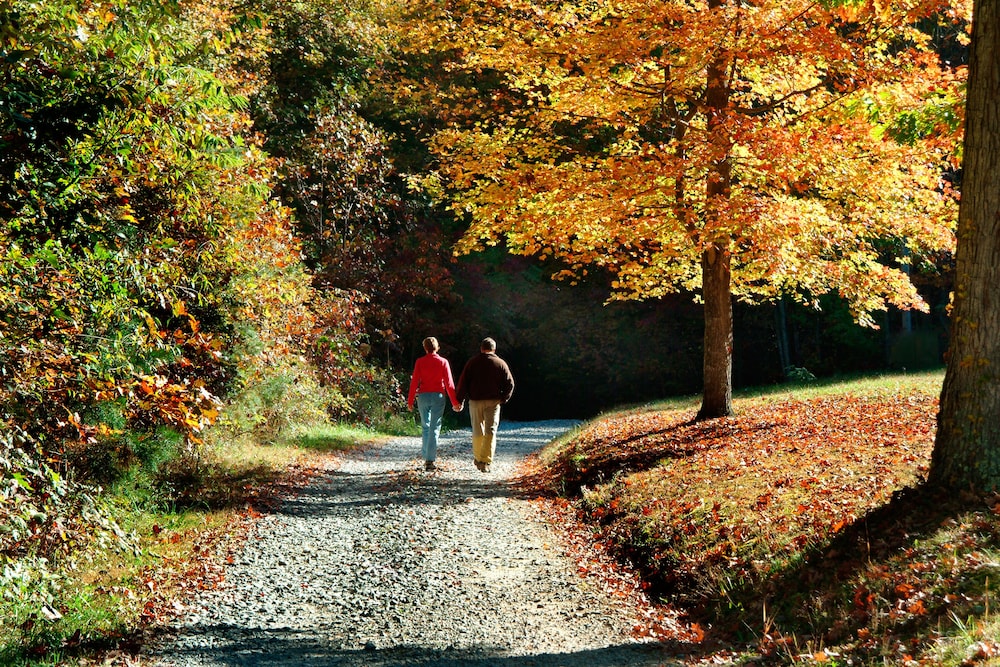 Opossum Creek Retreat - Property Image 22