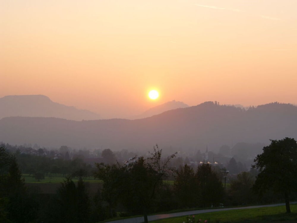 Pleasant Apartment in Zell am Harmersbach