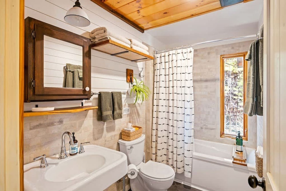 Blue Ridge Beech Cabin