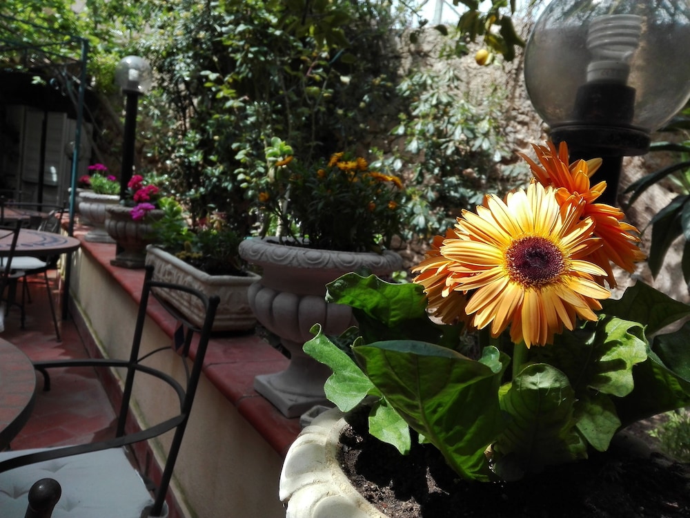 Montevergini B&B