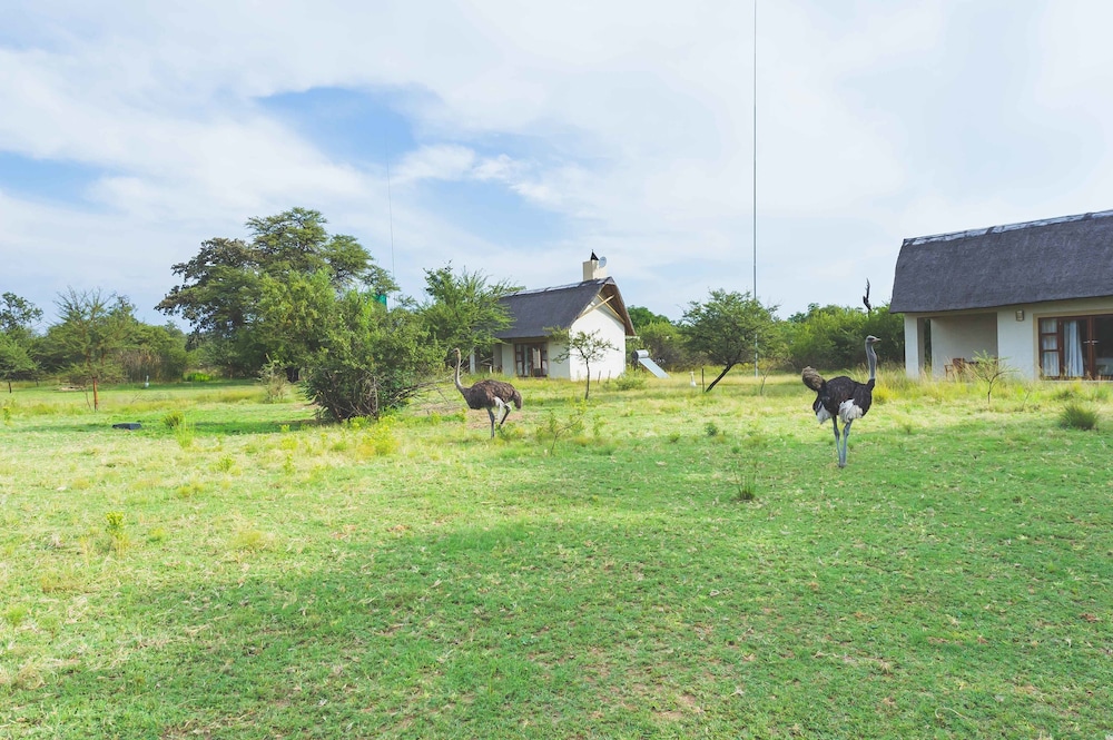 Deruxa Cottages