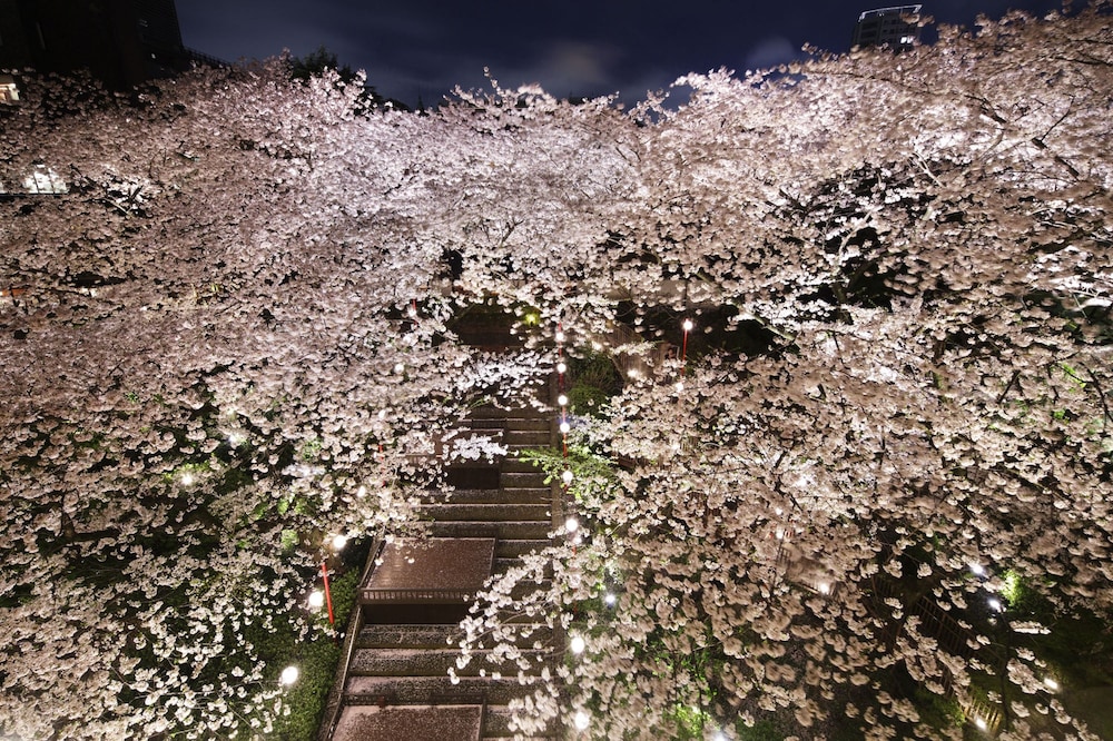 Grand Prince Hotel Shin Takanawa 90
