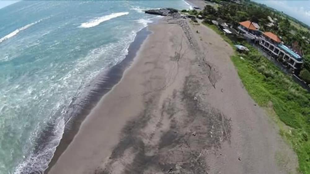 Premier Surf Camp