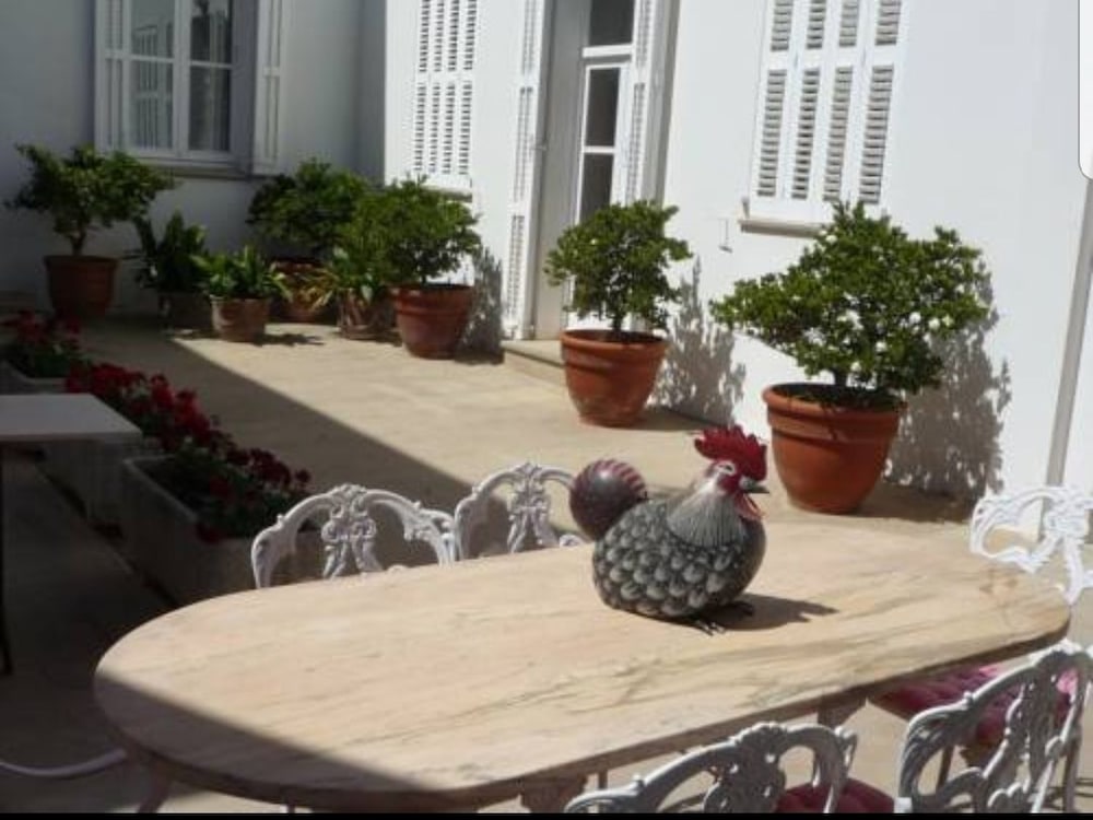 Gallo Colorao - Adults Only view 5