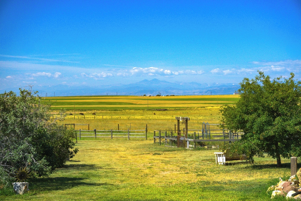 Yak Ranch w/ Mountain Views, Near Wellington!