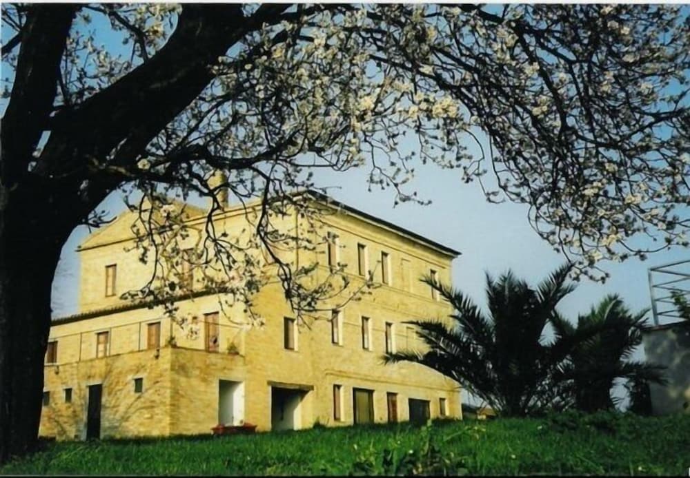 Photo 26