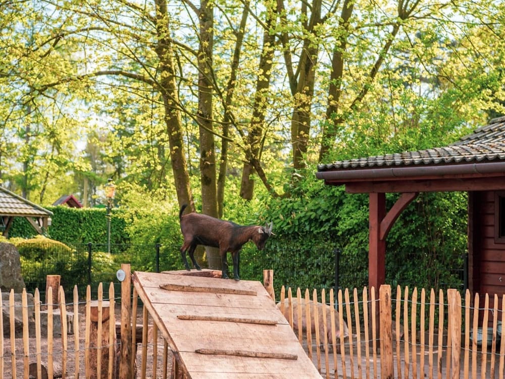 Photo 29