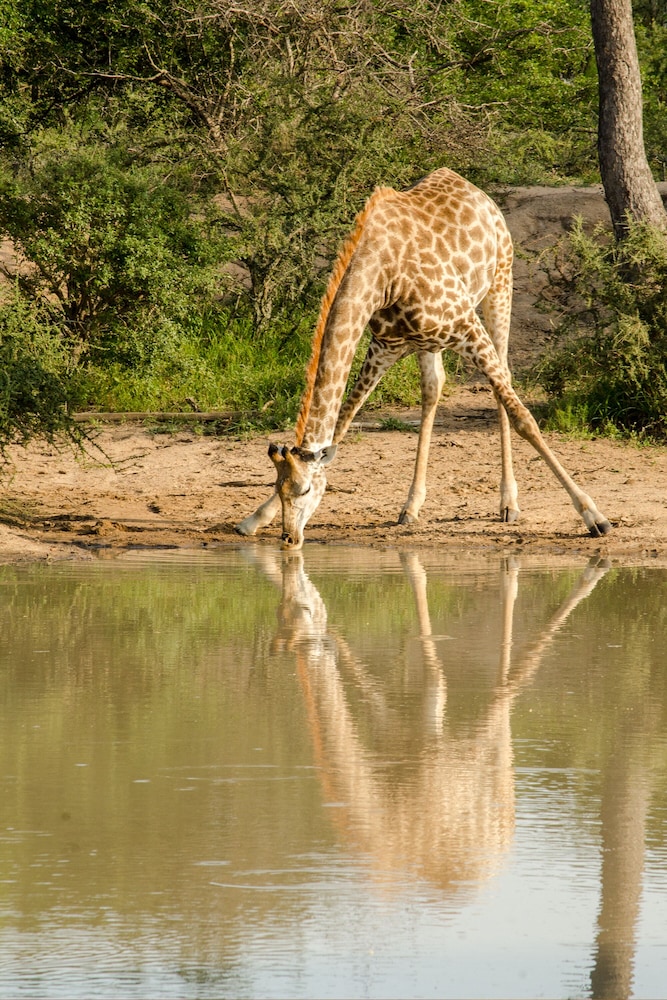 Elandela Private Game Reserve & Luxury Lodge