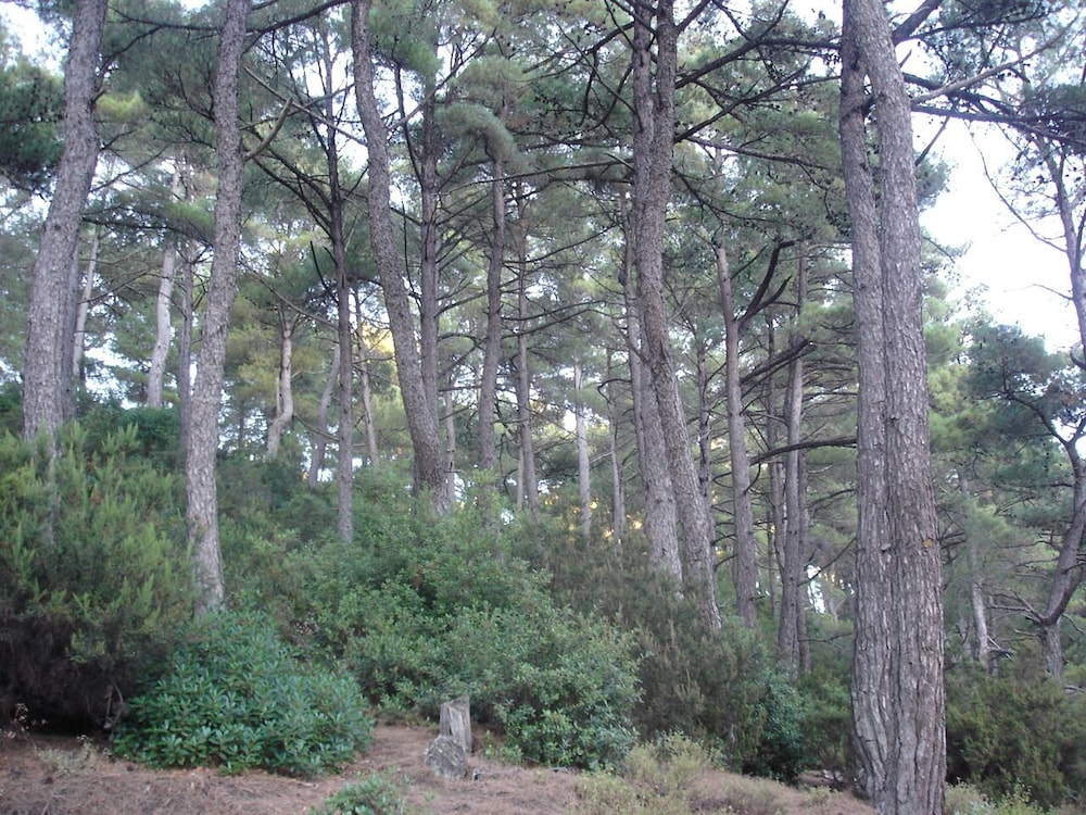 Photo 27